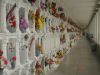 DSC07820.JPG