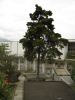 DSC07844.JPG