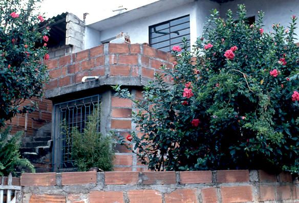 La concepción del jardín y el uso en las fachadas, barrio Doce de Octubre
Tomas Nieto 1982
Palabras clave: DOCE DE OCTUBRE