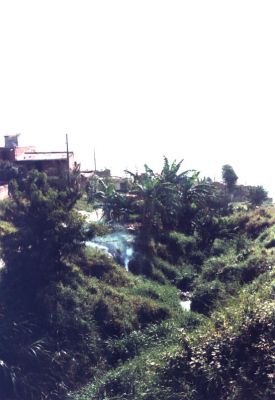 Margen de la quebrada, falta de mantenimiento y adecuación, barrio Doce de Octubre
CEHAP 1988
Palabras clave: DOCE DE OCTUBRE