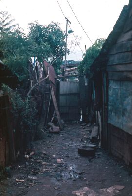 Callejon tipico del barrio Moravia 
Gilberto Arango 1988
Cehap

Palabras clave: MORAVIA
