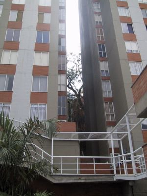 Empalme externo entre torres urbanizacion California del Poblado Medellin
LUIS FERNANDO GONZALEZ, 2004
Palabras clave: CALIFORNIA POBLADO URBANIZACION