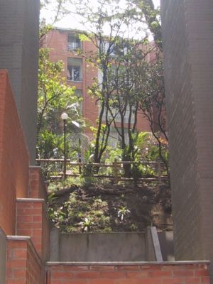 Jardinera urbanizacion California del Poblado 
LUIS FERNANDO GONZALEZ, 2004
Palabras clave: CALIFORNIA POBLADO URBANIZACION