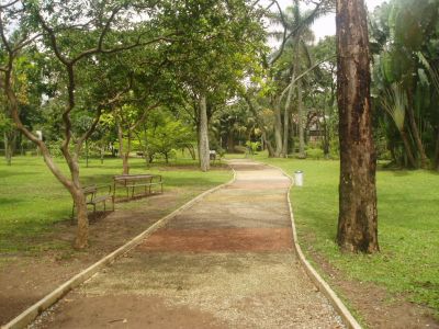 Sendero peatonal Jardin Botanico de Medellin
CEHAP, 2008
Palabras clave: JARDIN BOTANICO