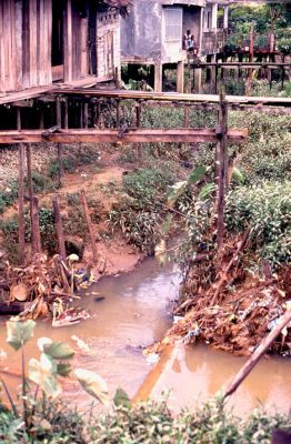 Construccion de Palafitos sobre la Quebrada La Yesca, Quibdo Choco
CEHAP 1989
Palabras clave: QUIBDO VIVIENDA PALAFITICA