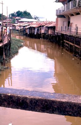 Viviendas construidas en estructuras palafíticas a orillas de la quebrada La Yesca, Quibdó Chocó
CEHAP 1989
Palabras clave: QUIBDO VIVIENDA PALAFITICA