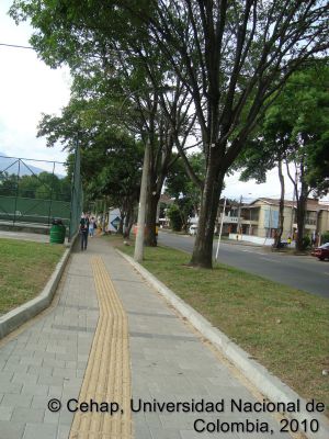 Adecuacion de andenes y espacio publico en los alrededores de la Unidad Deportiva de Belen
Cehap, 2010
Palabras clave: Espacio publico Instalaciones Deportivas