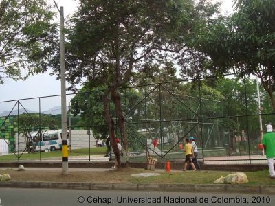 Andenes y espacio publico en los alrededores de la Unidad Deportiva de Belen
Cehap, 2010
Palabras clave: Instalaciones Deportivas