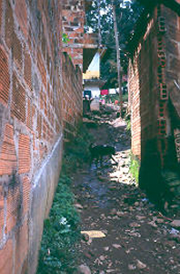 Callejon, asentamiento los Caunces, Medellin
PEVAL 1984
Palabras clave: MEJORAMIENTO LOS CAUNCES