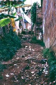 Los senderos y sus condiciones higienicas, asentamiento Los Caunces, Medellin
PEVAL 1984
Palabras clave: MEJORAMIENTO LOS CAUNCES
