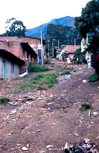  Sendero peatonal y sus condiciones de higiene, asentamiento Los Caunces, Medellin
PEVAL 1984
Palabras clave: MEJORAMIENTO LOS CAUNCES