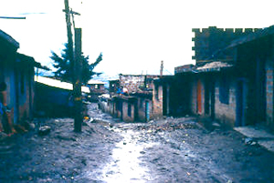  Estado de vias, asentamiento La Candelaria, Medellin
PEVAL 1984
Palabras clave: MEJORAMIENTO LA CANDELARIA