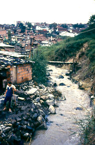 Viviendas en zona de riesgo, asentamiento La Candelaria, Medellin
PEVAL 1984
Palabras clave: MEJORAMIENTO LA CANDELARIA