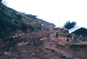  Condiciones de las vias de acceso, asentamiento Maria Cano, Medellin
PEVAL 1984
Palabras clave: MEJORAMIENTO MARIA CANO