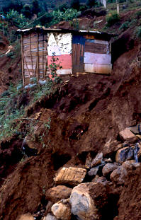 Vivienda en zona de deslizamientos, asentamiento Maria Cano, Medellin
PEVAL 1984
Palabras clave: MEJORAMIENTO MARIA CANO