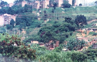 Urbanizacion Tricentenario costado izquierdo quebrada la Moreno
CEHAP 1996
Palabras clave: MORFOLOGIAS FISICO ESPACIALES