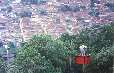 Feria de ganado de Medellin
CEHAP 1996
Palabras clave: Morfologia Feria de ganado