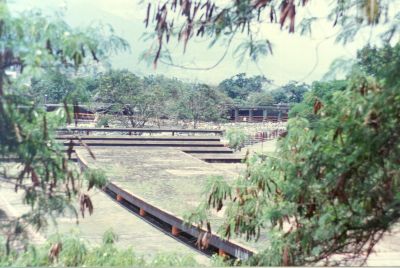 Feria de ganado de Medellin
CEHAP 1996
Palabras clave: Actividad economica