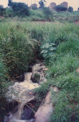 Quebrada cerca a la urbanizacion Tricentenario
CEHAP 1996
Palabras clave: QUEBRADAS