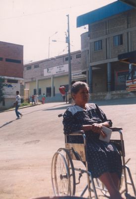 CEHAP 1996
