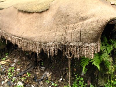 Suelo que se encuentra en gran parte del barrio moravia 
Senia Salazar Maldonado  2007
Palabras clave: ELEMENTOS DEL HABITAT