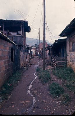 Via tipica en el interior del barrio Moravia 
Gilberto Arango 1988
Cehap

Palabras clave: MORAVIA VIAS