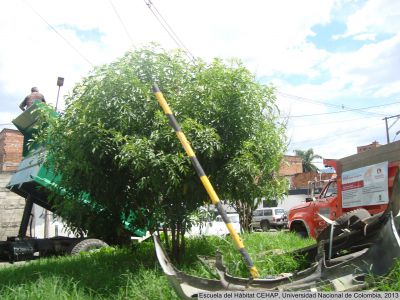 Zona de influencia del plan parcial de renovacion urbana Naranjal
Cehap, 2013
Palabras clave: Naranjal Medellin