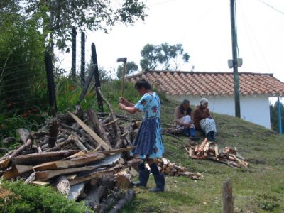 Actividades realizadas por moradores del corregimiento de Santa Elena 
CEHAP, 2003
Palabras clave: SANTA ELENA CORREGIMIENTO