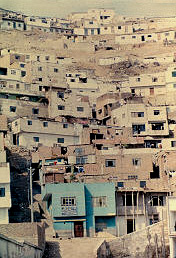 Proceso de ocupacion y crecimiento espontaneo Distrito del Agustino Lima Peru
CEHAP CIPUR 1981 

Palabras clave: LIMA PERU PROCESO DE OCUPACION