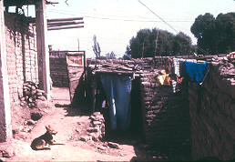 Proceso de urbanizacion precaria Distrito del Agustino Lima Peru
CEHAP CIPUR 1981
Palabras clave: VIVIENDA LIMA PERU
