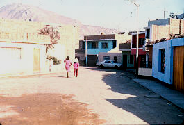 Proceso de urbanizacion con servicios Distrito del Agustino Lima Peru
CEHAP CIPUR 1981
Palabras clave: VIVIENDA LIMA PERU