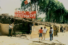 Zona de invasion Parcela A Distrito del Agustino Lima Peru
Cehap CIPUR 1981 

Palabras clave: INVASION LIMA PERU