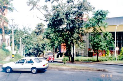 Calle del Barrio El Poblado en la ciudad de Medellin 
CEHAP 1999
Palabras clave: RUTAS VIALIDAD