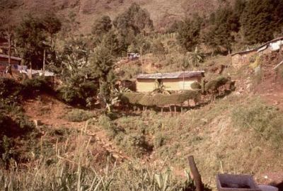 Zona de ladera en el Cerro Pan de Azucar
CEHAP, 1996
Palabras clave: PAN DE Azucar MEDELLIN