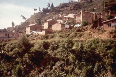 Viviendas en zona de ladera, Cerro Pan de Azúcar
CEHAP, 1996
Palabras clave: PAN DE Azucar MEDELLIN