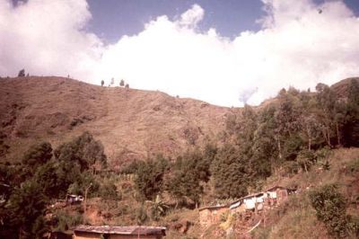 Panorámica Cerro Pan de Azúcar 
CEHAP, 1996
Palabras clave: PAN DE Azucar MEDELLIN