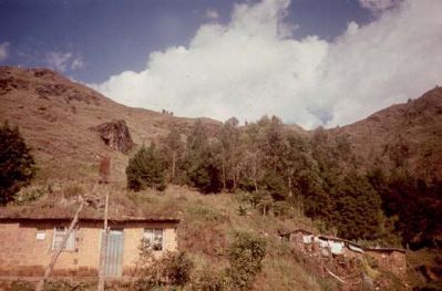 Viviendas en zona de ladera, Cerro Pan de Azúcar
CEHAP, 1996
Palabras clave: PAN DE Azucar MEDELLIN