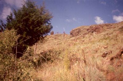 Planicie superior, Cerro Pan de Azúcar
CEHAP, 1996
Palabras clave: PAN DE Azucar MEDELLIN