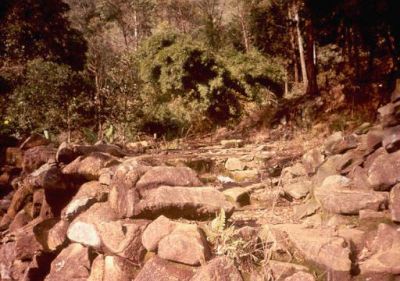 Superficie rocosa (roca: "dunita serpentinizada"), Cerro Pan de Azúcar
CEHAP, 1996
Palabras clave: GEOLOGIA PAN DE Azucar MEDELLIN