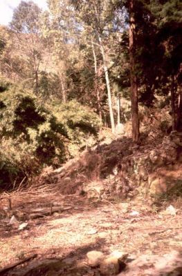 Senderos ecológicos, Cerro Pan de Azúcar
CEHAP, 1996
Palabras clave: PAN DE Azucar MEDELLIN