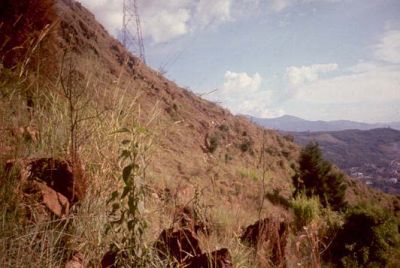 Zona con pendientes fuertes a escarpadas, Cerro Pan de Azúcar
CEHAP, 1996
Palabras clave: PAN DE Azucar
