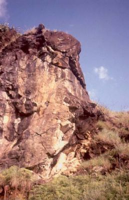 "Dunita serpentinizada", unidad rocosa que conforma el Cerro Pan de Azúcar
CEHAP, 1996
Palabras clave: PAN DE Azucar