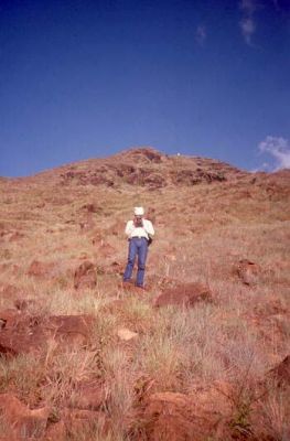 Parte alta del Cerro Pan de Azúcar
CEHAP, 1996
Palabras clave: PAN DE Azucar