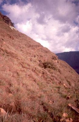 Zona con pendientes fuertes a escarpadas, Cerro Pan de Azúcar
CEHAP, 1996
Palabras clave: PAN DE Azucar