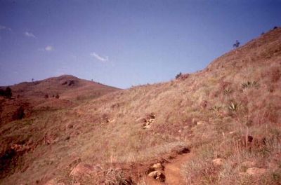 Zona con pendientes moderadas a suaves, Cerro Pan de Azúcar
CEHAP, 1996
Palabras clave: PAN DE Azucar