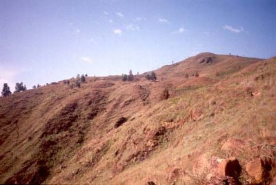 Panorámica parte alta del Cerro Pan de Azúcar
CEHAP, 1996
Palabras clave: PAN DE Azucar