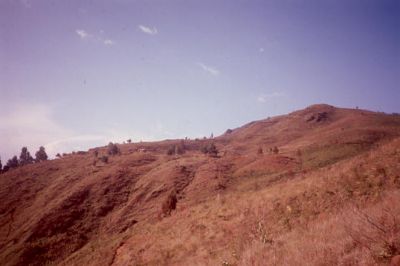 Panorámica parte alta del Cerro Pan de Azúcar
CEHAP, 1996
Palabras clave: PAN DE Azucar