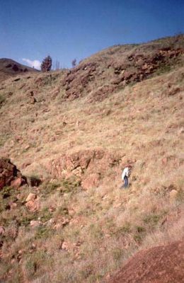 Zona con pendientes fuertes a escarpadas, Cerro Pan de Azúcar
CEHAP, 1996
Palabras clave: PAN DE Azucar