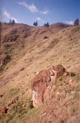 Zona con pendientes fuertes a escarpadas, Cerro Pan de Azúcar
CEHAP, 1996
Palabras clave: PAN DE Azucar
