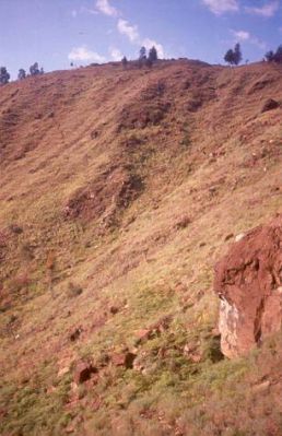 Zona con pendientes fuertes a escarpadas, Cerro Pan de Azúcar
CEHAP, 1996
Palabras clave: PAN DE Azucar
